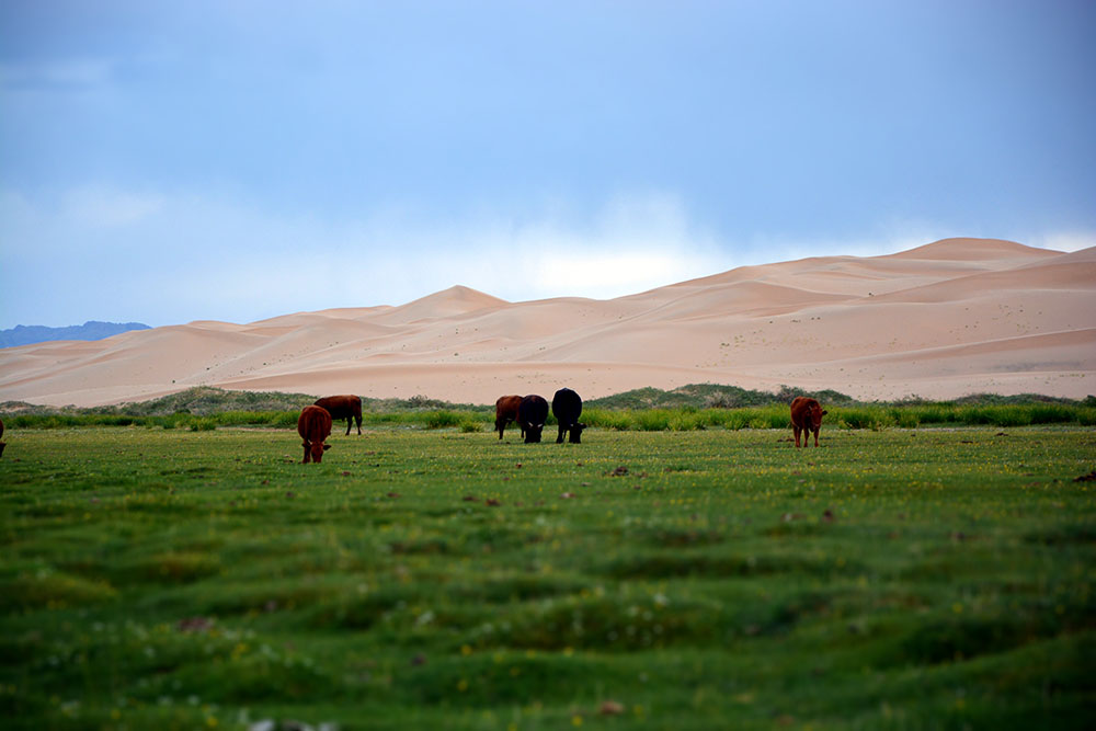 Sanddüne in der Wüste Gobi