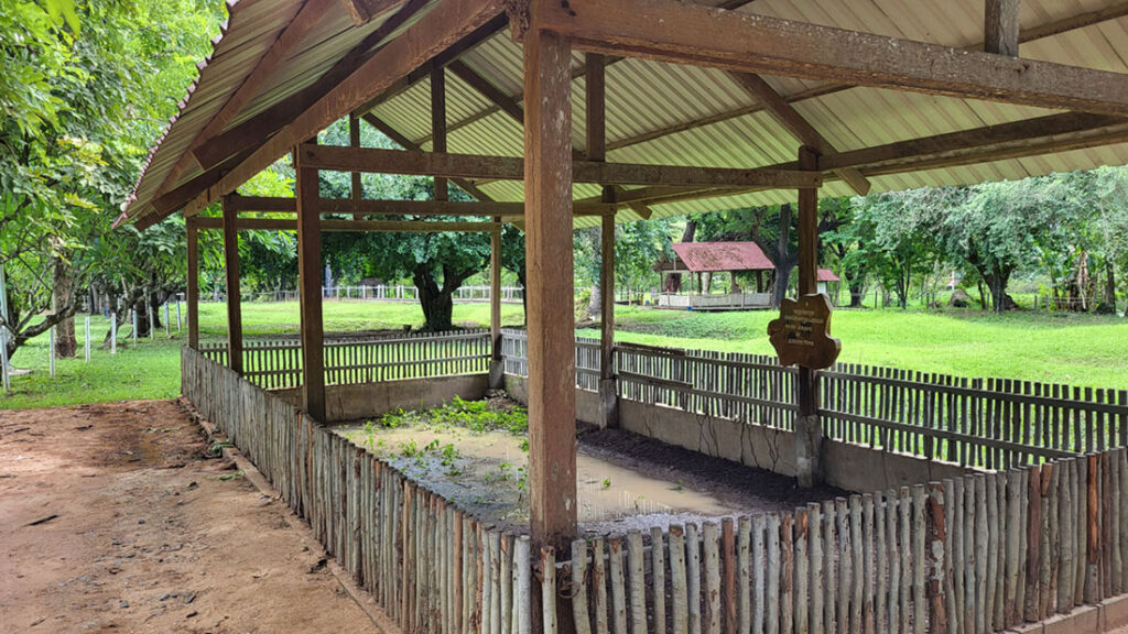 Eines der größten Massengräbern auf den Killing Fields. Überreste von 450 Menschen wurden hier gefunden.